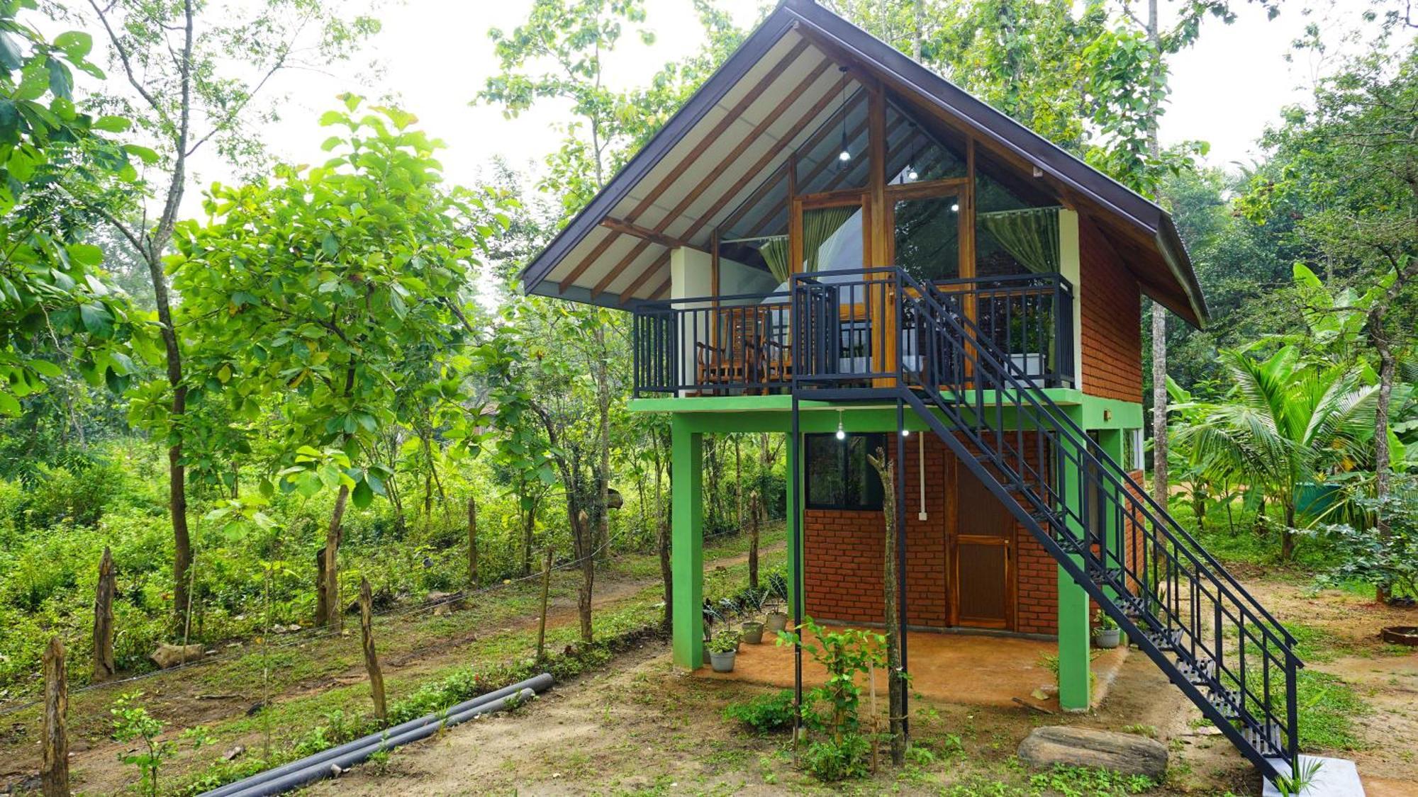 Sigiri Saat Cabana Sigirîya Extérieur photo