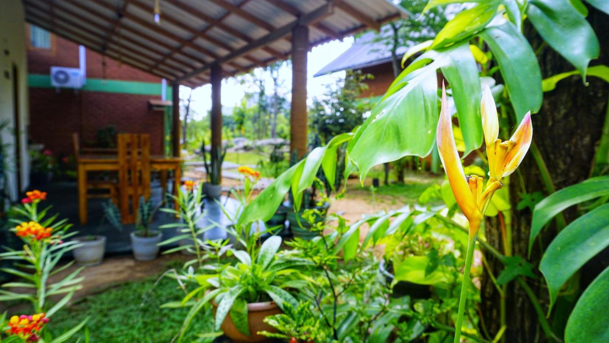 Sigiri Saat Cabana Sigirîya Extérieur photo